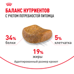 Royal Canin British Shorthair Adult Британская короткошерстная Эдалт Корм сухой для взрослых британских кошек 2кг