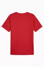 Футболка Puma teamRISE Matchday