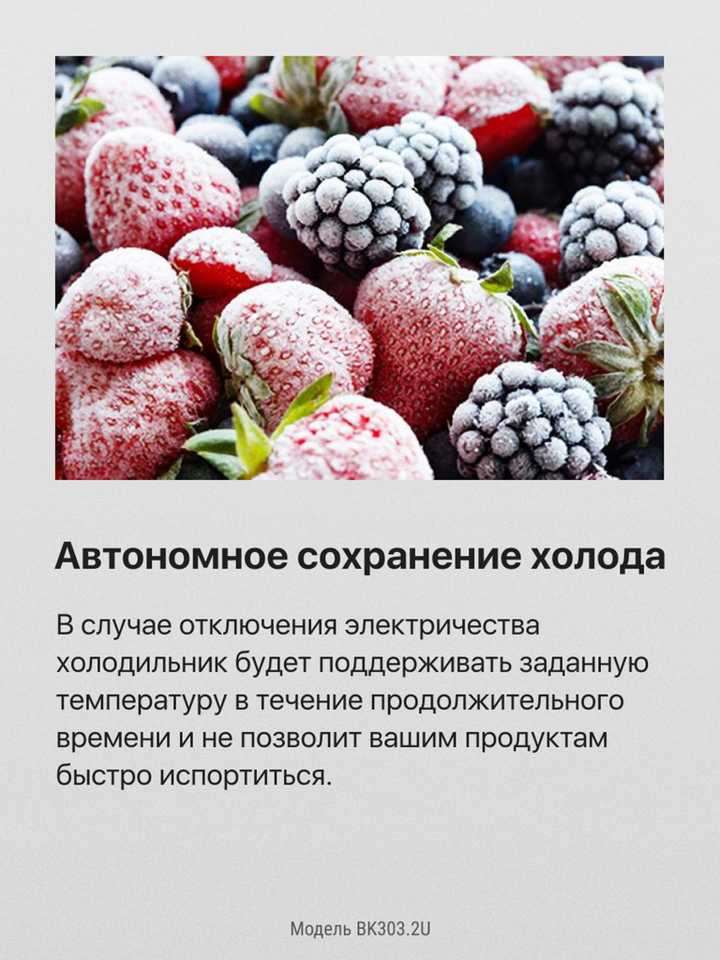 Встраиваемый холодильник Hansa BK303.2U