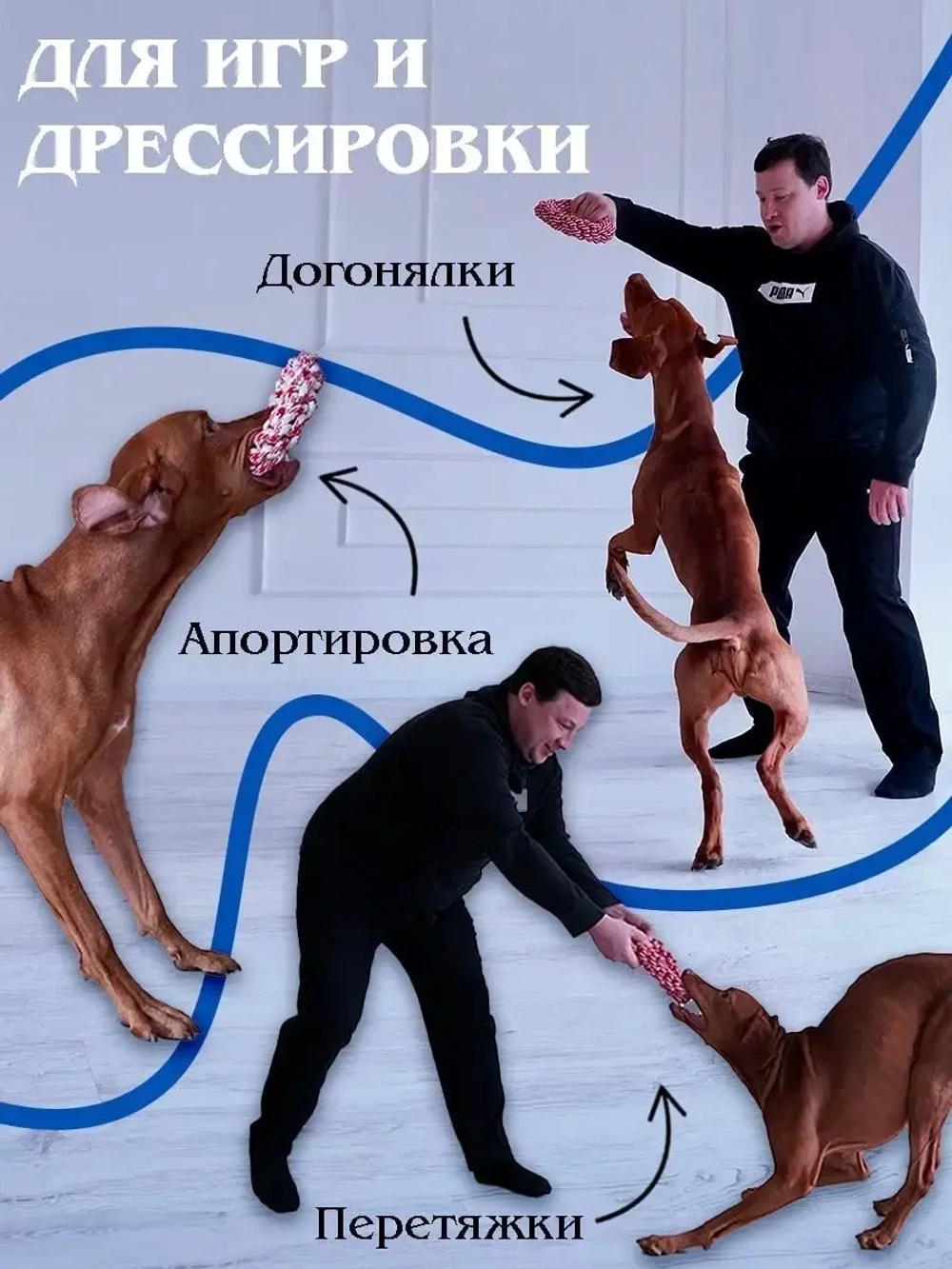 Кольцо каната пуллер для собак