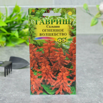 САЛЬВИЯ Огненное волшебство Гавриш Ц (10шт)