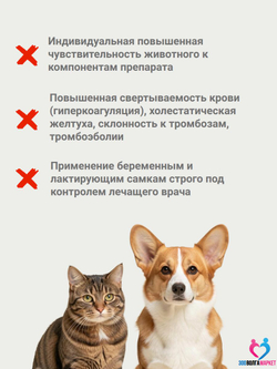 Конафлион активный витамин K (фитоменадион) для профилактики и лечения гиповитаминоза витамина К, при кровотечениях у кошек и собак, раствор для инъекций, 10 мл