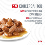 Влажный корм для здоровья пищеварительной системы Тонкие ломтики в соусе, 85г Royal Canin Digestive