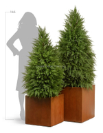 Кашпо TREEZ Effectory - серия Corten Steel - Высокий куб - Кортеновская сталь - Бархатистая окись