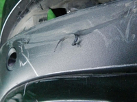 DSCN2959.JPG