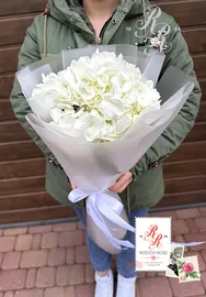Букет Гортензии