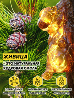 Мёд натуральный гречишный с кедровой живицей, 1000 г