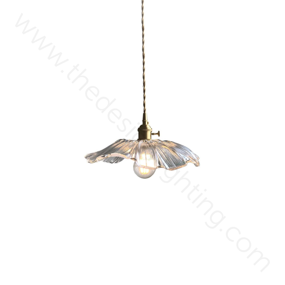Pendant design lamp Brackett