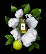 Jo Malone Sea Salt & Bergamot EDC
