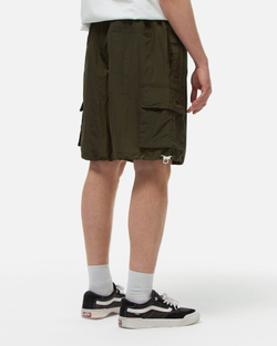 Шорты Anteater BoxyCargoShorts Зеленый