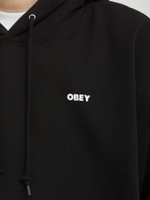 Мужская Толстовка Obey World In Flames