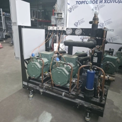ЦХМ Bitzer 2 компрессора 4TES-9Y-40P