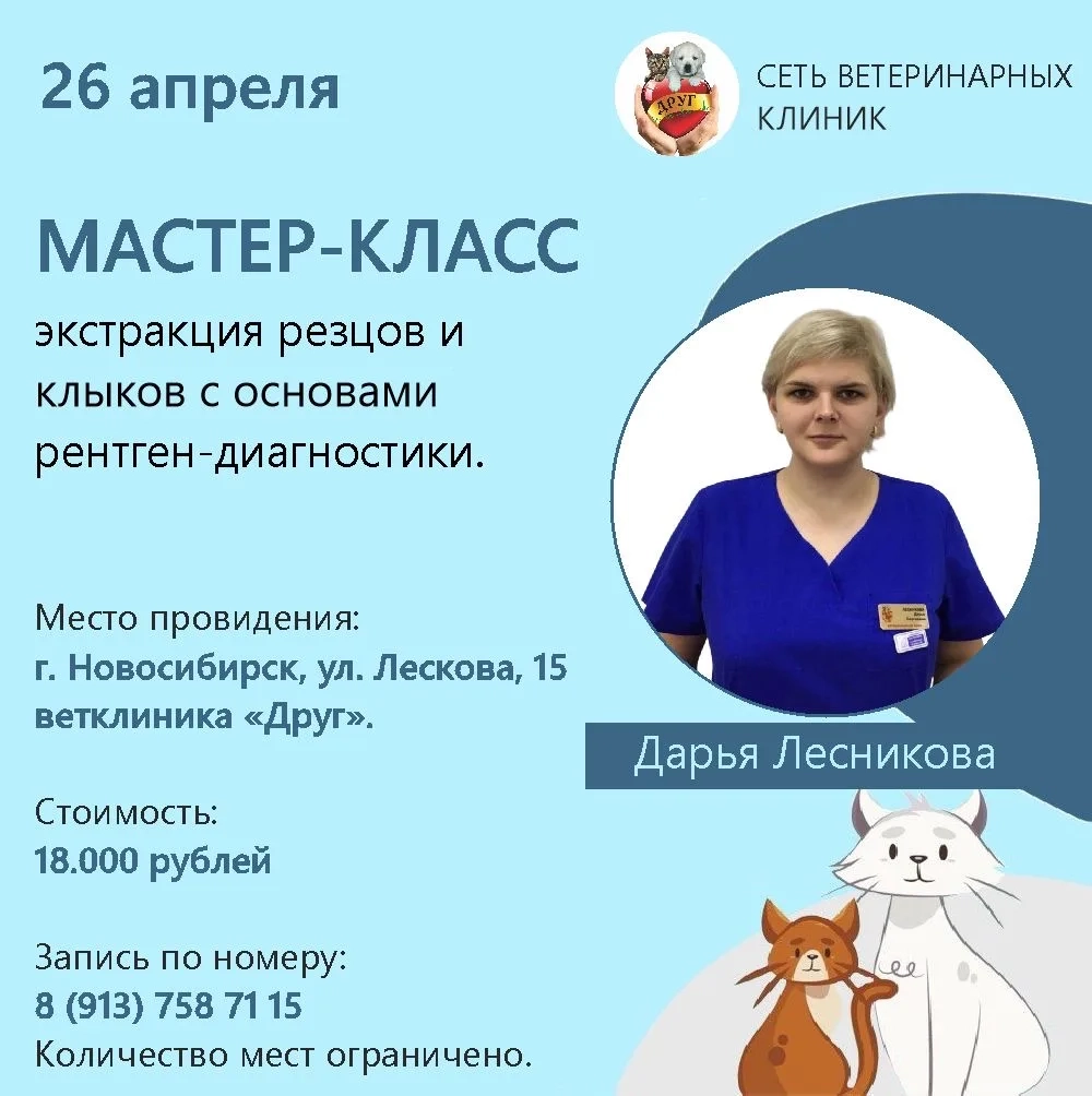 Мастер-класс экстракция резцов и клыков с основами рентген-диагностики