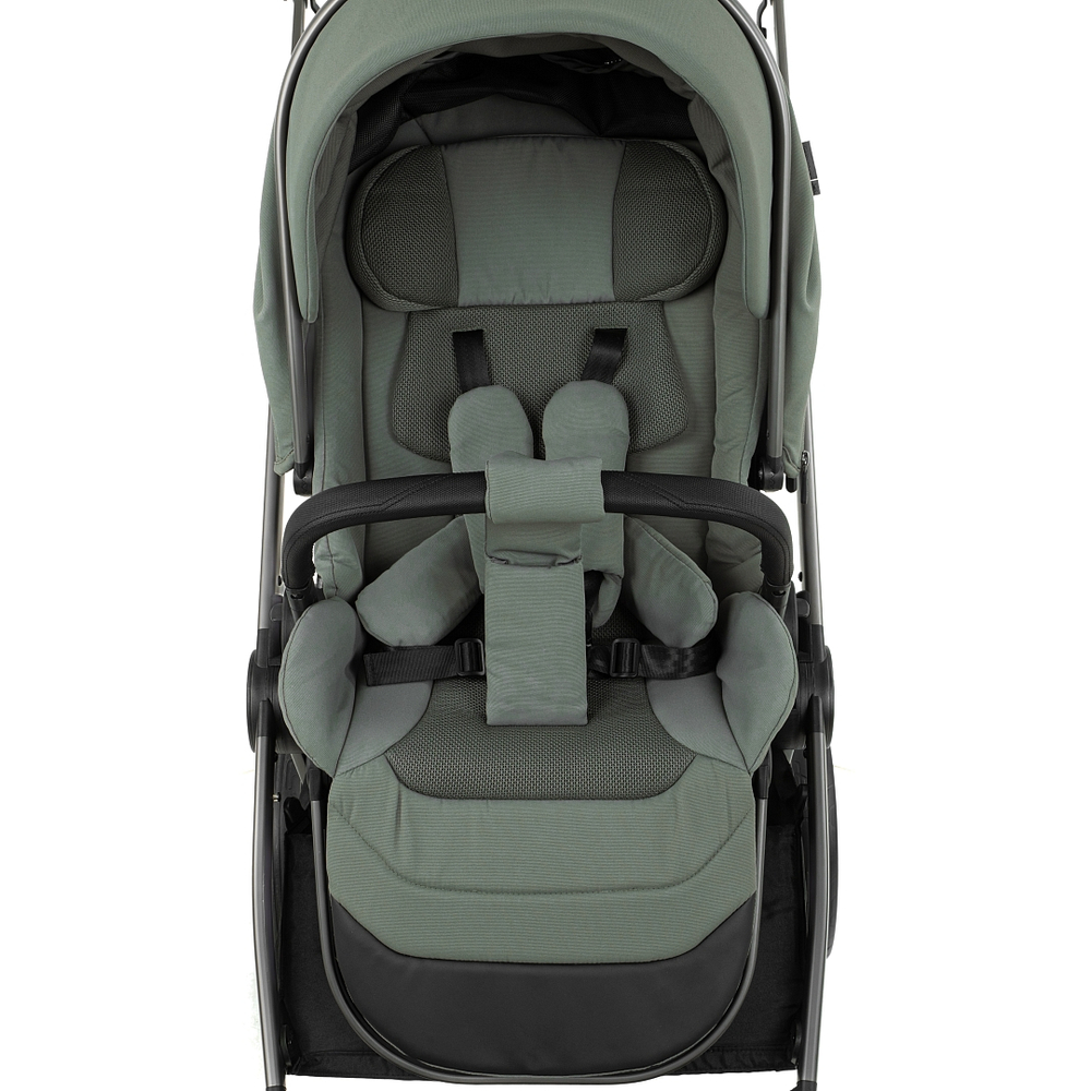 Коляска 2 в 1 Pituso Teffy Sage Green шасси Graphite
