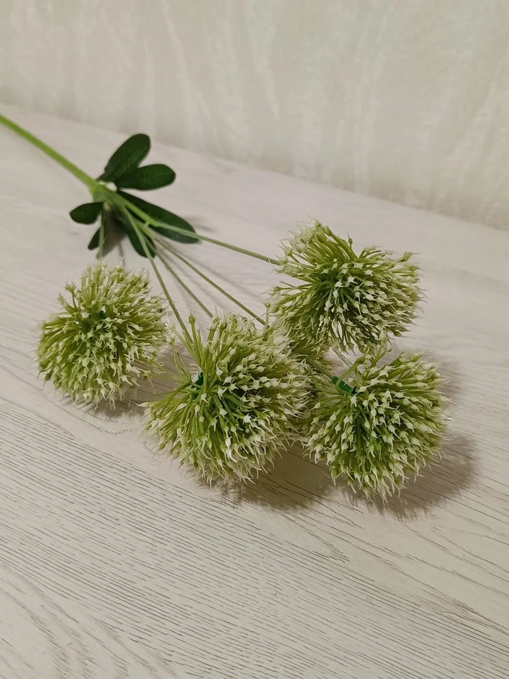 Дикий лук