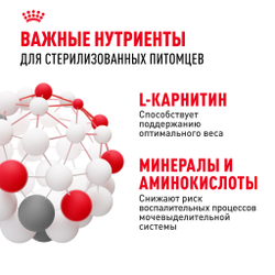 Royal Canin Sterilised 37 Корм сухой сбалансированный для взрослых стерилизованных кошек - 0,4 кг