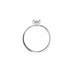 ATTRACT:RING RND CZWH/RHS 50 5412023