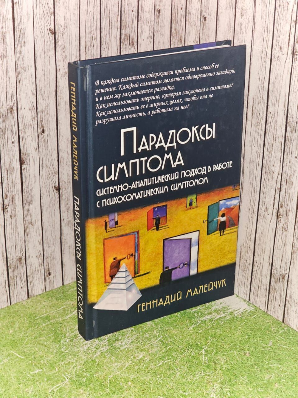 Геннадий Малейчук: Парадоксы симптома. Системно-аналитический подход в работе с психосоматическим симптомом