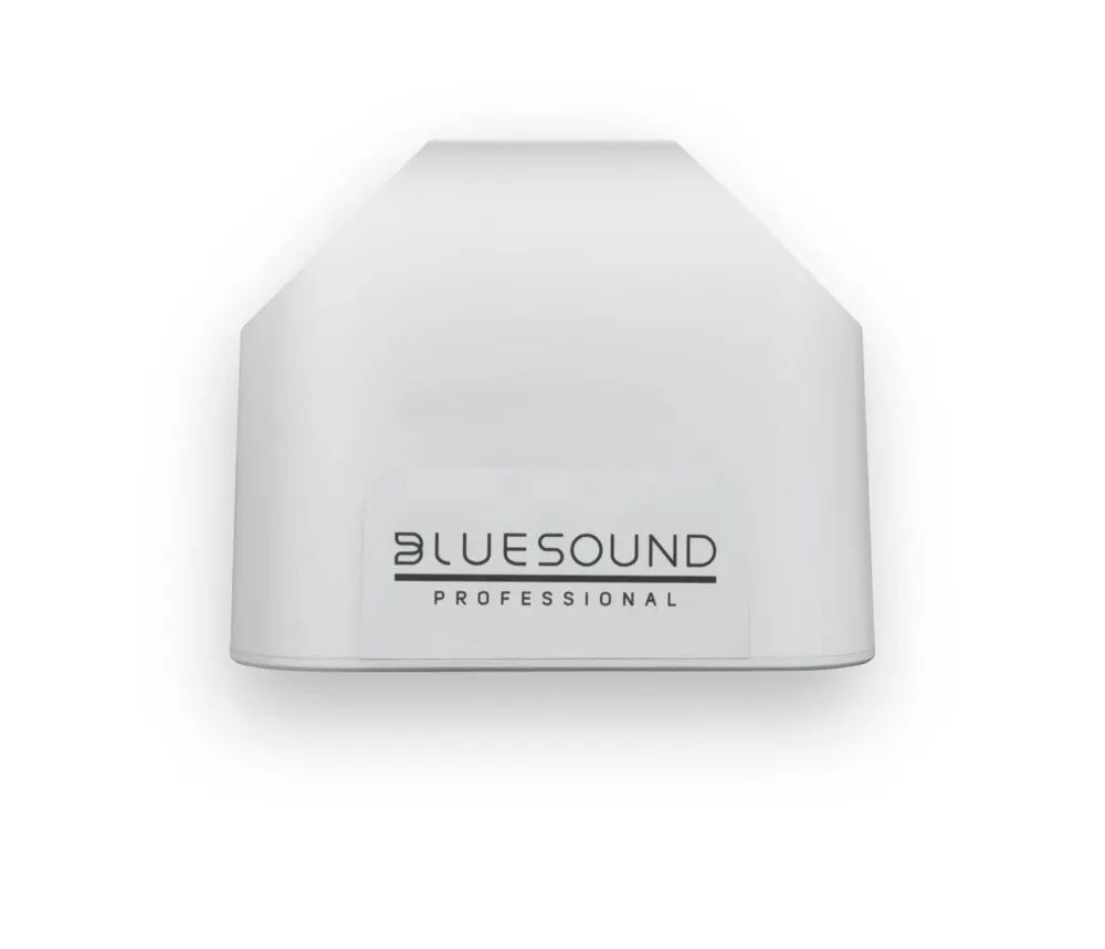 Акустическая система Bluesound BSP200 WHT