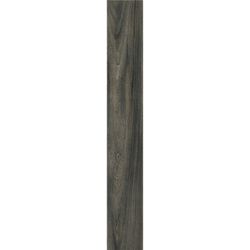 Fazino Maple 28920