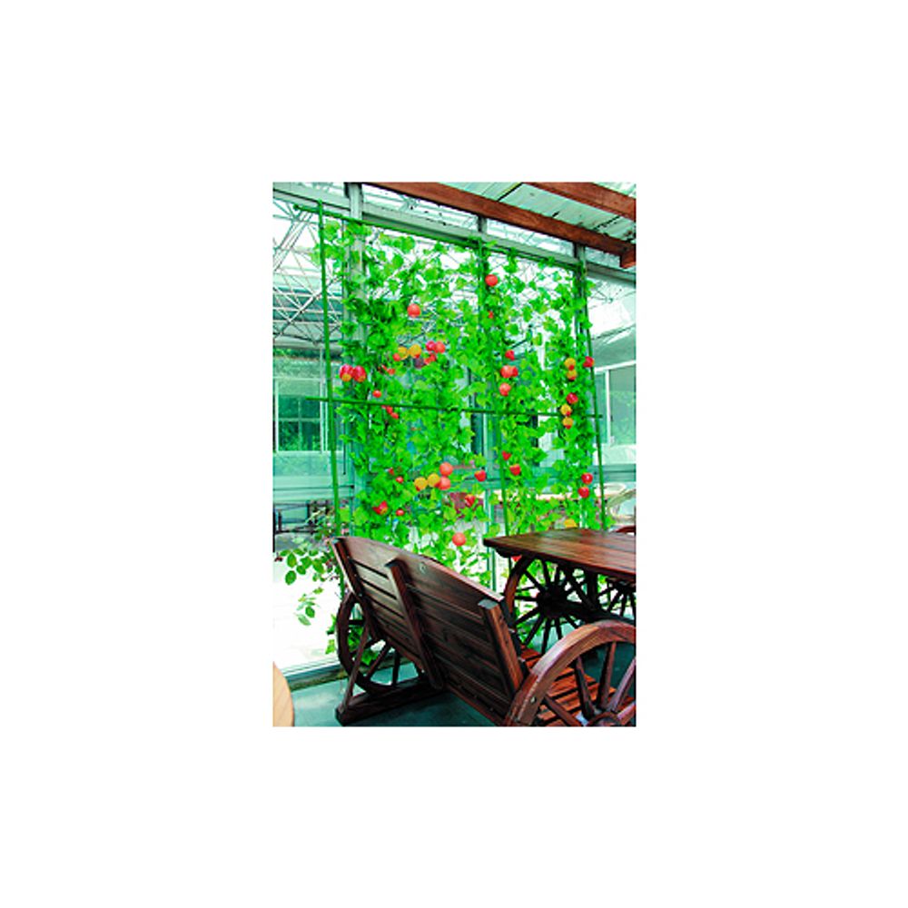 GLSCL-2 GREEN APPLE Комплект для вьющихся растений сборный 0,9*1,8м | GREEN APPLE