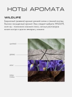 Шампунь для волос ДИКАЯ ПРИРОДА (WILDLIFE)
