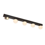 Потолочный светодиодный светильник Arte Lamp ZOSMA A2608PL-5BK