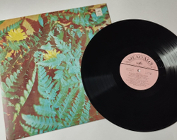 Винтажная виниловая пластинка LP Иверия Песня О Грузии (СССР 1976)