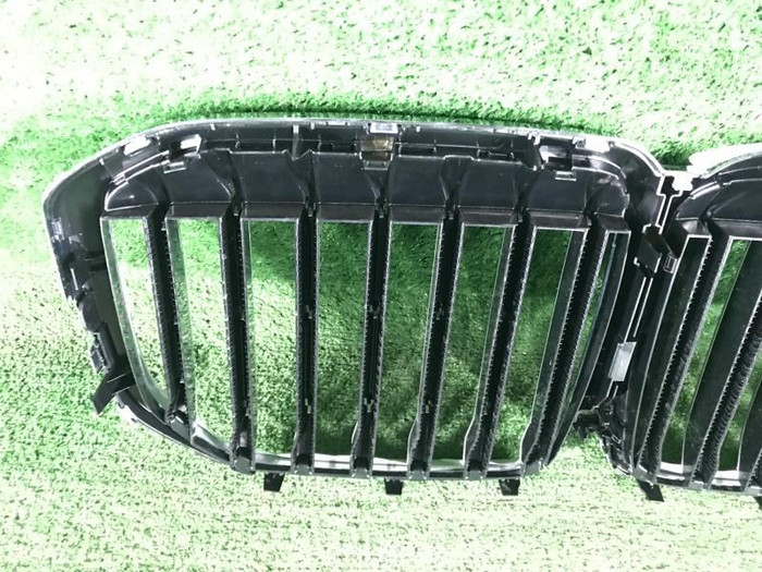 Решетка радиатора BMW X7 G07 (2019-2022)