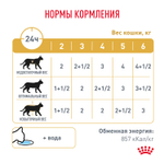 Royal Canin Urinary S/O Уринари С/О Корм влажный диета для взрослых кошек при МКБ и цистите соус  85г