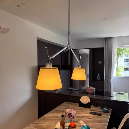 Ceiling design lamp Tolomeo by Artemide (2 lampshade )