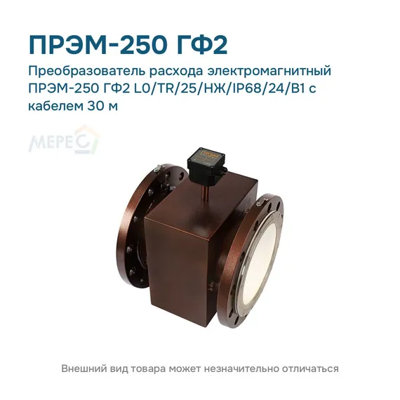 Преобразователь расхода электромагнитный ПРЭМ-250 ГФ2 L0/TR/25/НЖ/IP68/24/B1 с кабелем 30 м