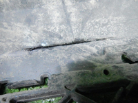 DSCN4538.JPG