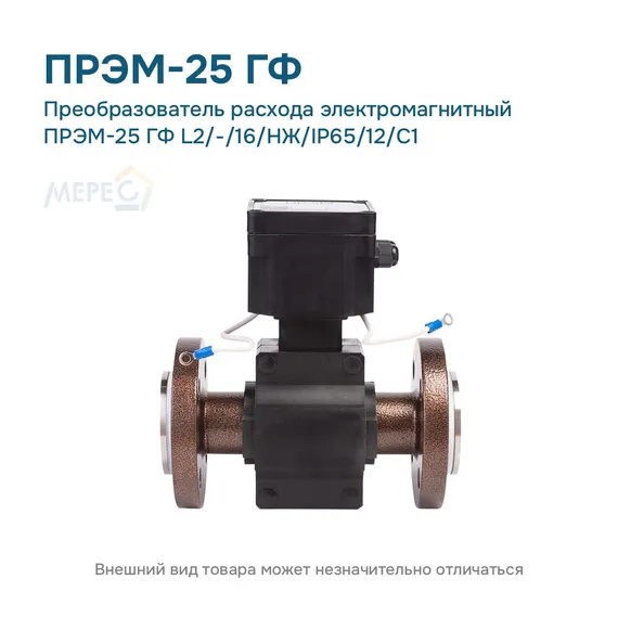 Преобразователь расхода электромагнитный ПРЭМ-25 ГФ L2/-/16/НЖ/IP65/12/C1