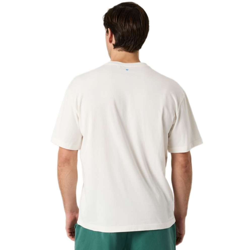 Мужская футболка Bj_rn Borg Classic Print - tofu