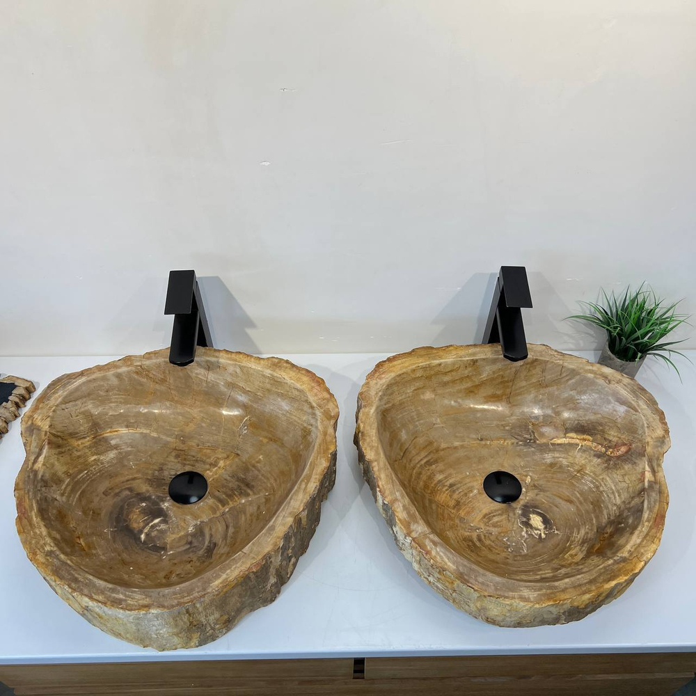 Раковина из окаменелого дерева ПАРА! OD-66881 53x50x15 из натурального камня