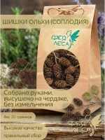 Шишки ольхи (соплодия) для здоровья рыбалки и магии
