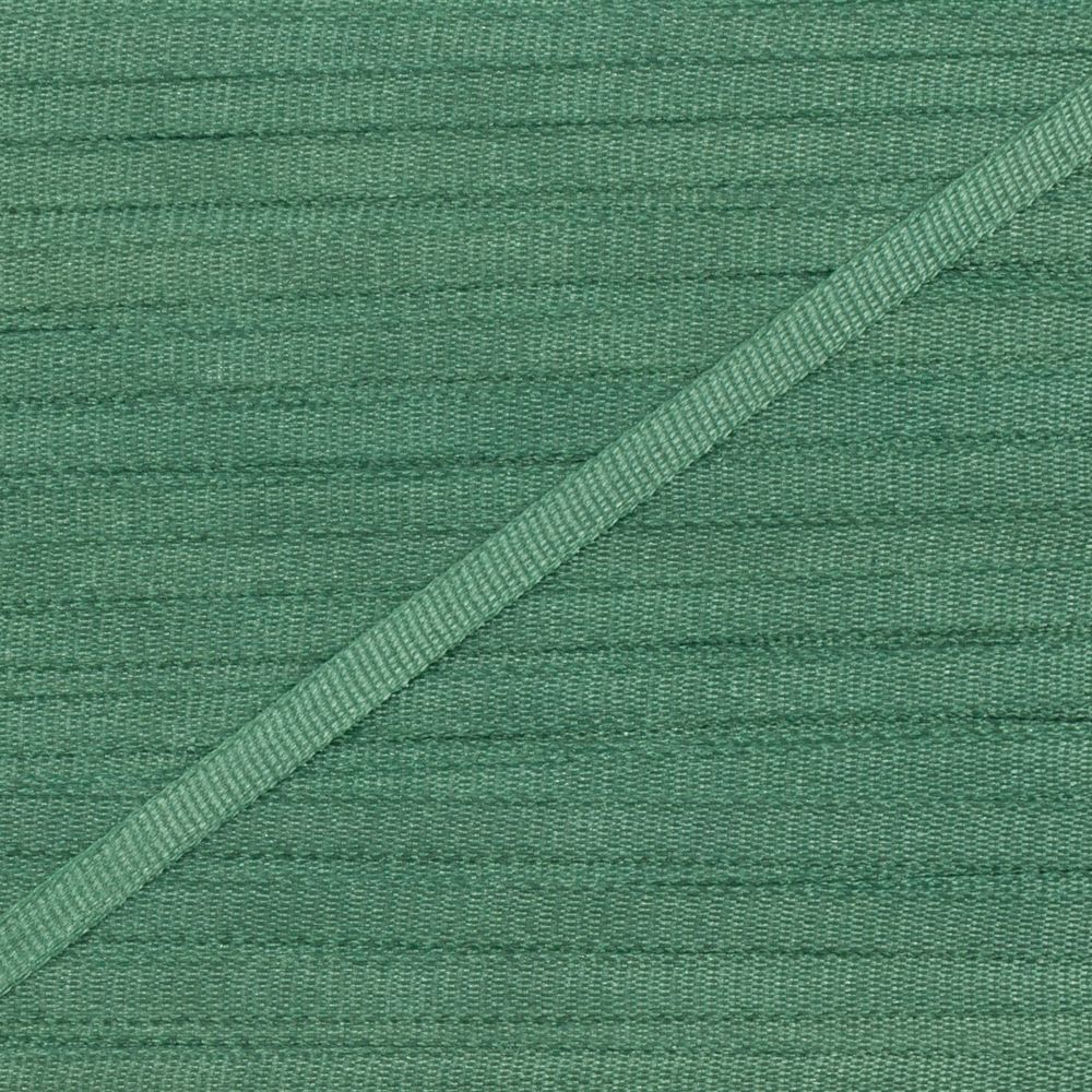 Лента (тесьма) шелковая 2.0 мм / 45.5±0.5 метров, №188 зеленый, Gamma SR-2