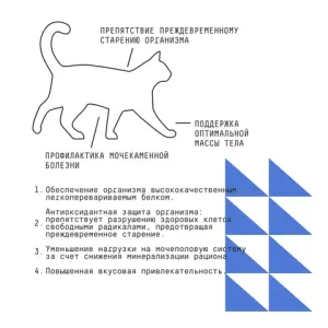 Сухой корм AJO Cat Grand Master для кошек старшего возраста для профилактики МКБ