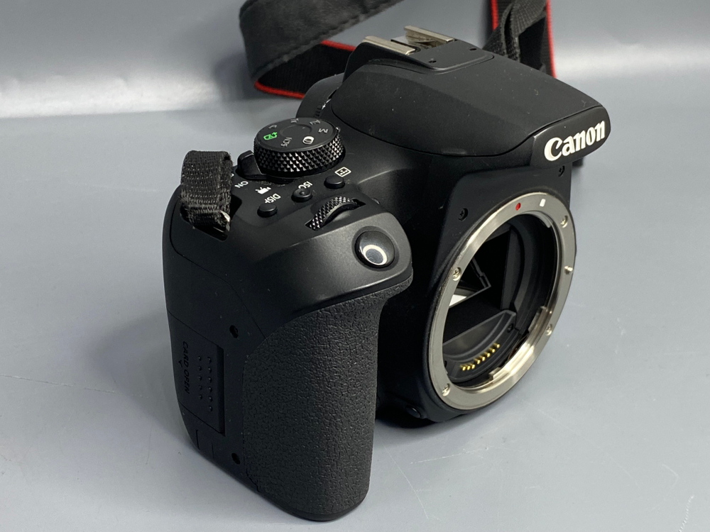 Canon EOS 850D — 13 800 кадров
