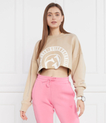 Худи WASHED CN GUESS ACTIVE - бежевый(V3YQ13 K68I0)