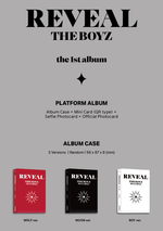 Альбом THE BOYZ -