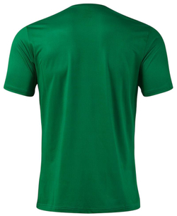 Теннисная футболка Joma Picasho Short Sleeve - green black