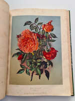 "Nestel`s Rosengarten. [  Сад роз Нестела]". E. Schweizerbartsche Verlagshandlung. 1869г.