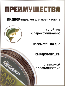 Лидкор со свинцовым сердечником для ловли карпа 10м, 35 lb (коричневый)