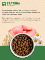 STATERA (Статера) Сухой корм для щенков всех пород с индейкой