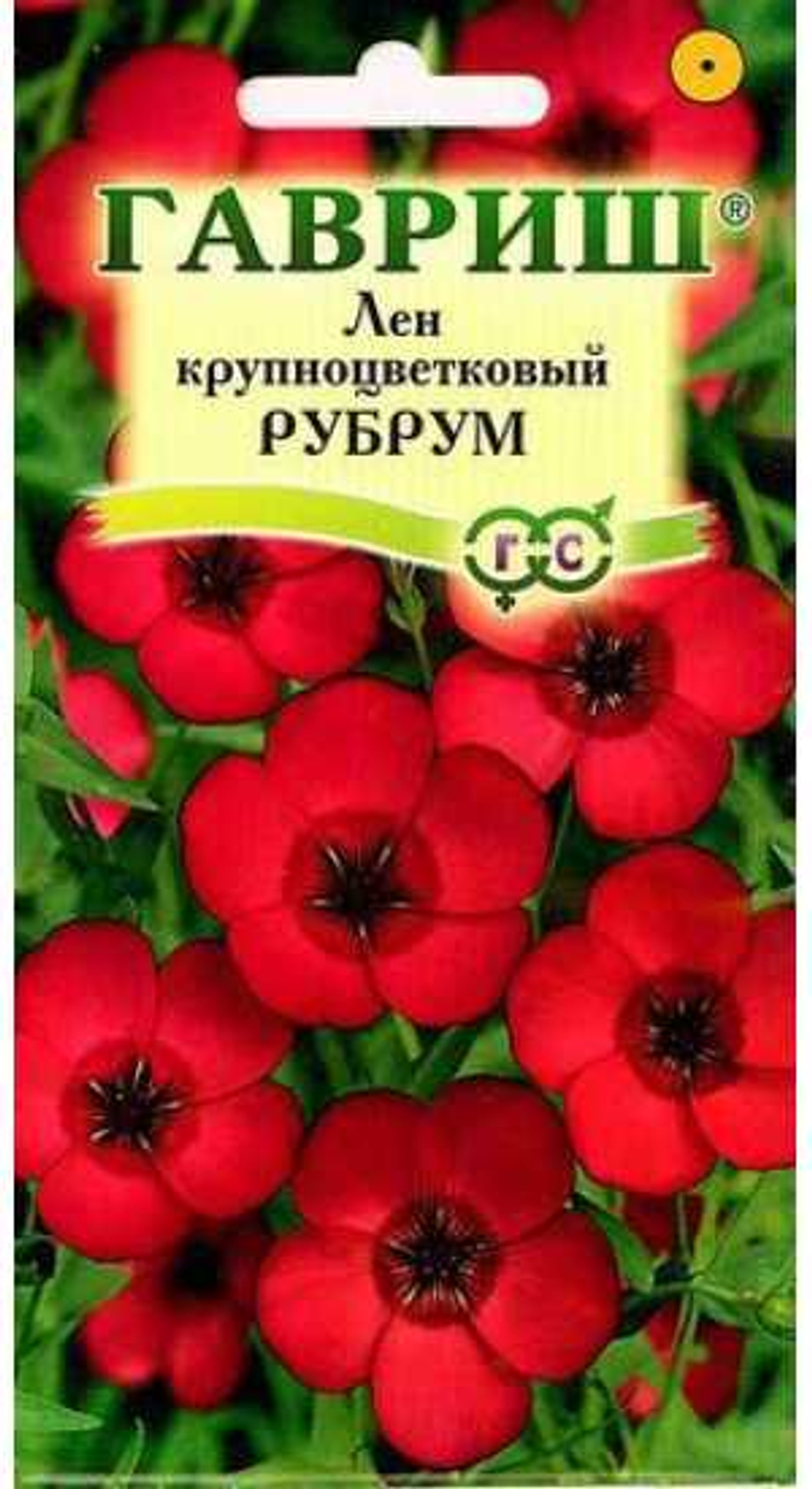 Лен Рубрум крупноцветковый 0,5-1гр гавриш