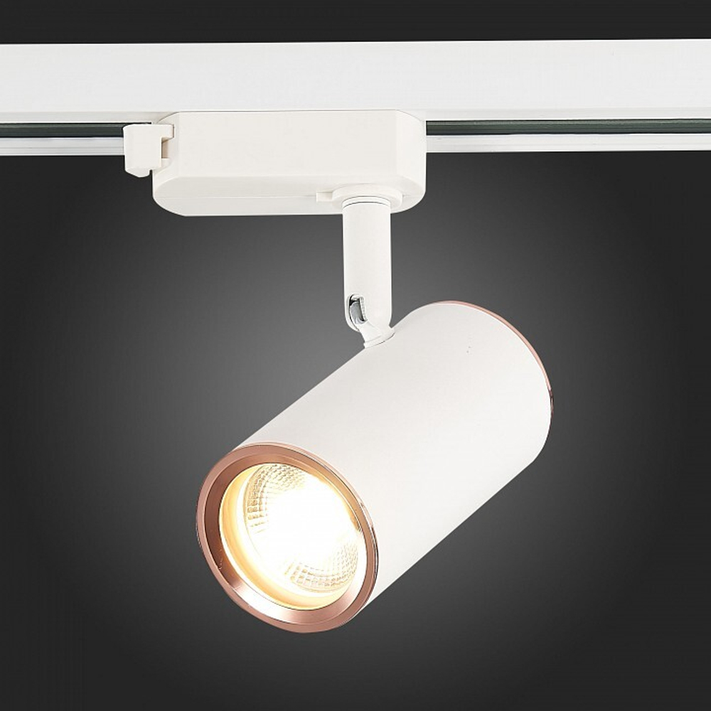 Светильник на штанге ST-Luce Cromi ST301.526.01