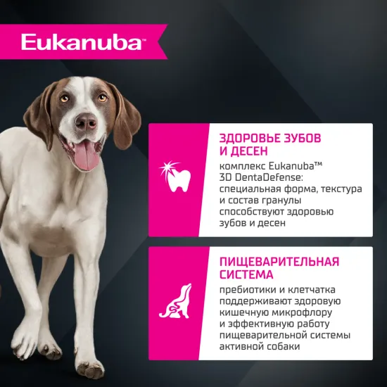 Eukanuba Сухой корм для собак для крупных пород с ягненком, 3 кг