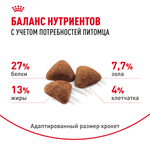Royal Canin Indoor Индор Корм сухой сбалансированный для взрослых кошек в возрасте от 1 года до 7 лет живущих в помещении 4кг
